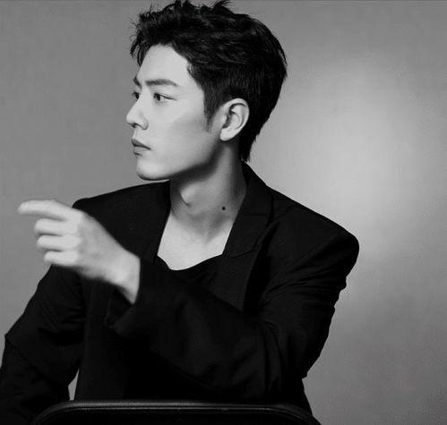 肖战最新动态爆料,神秘项目引关注,粉丝热议